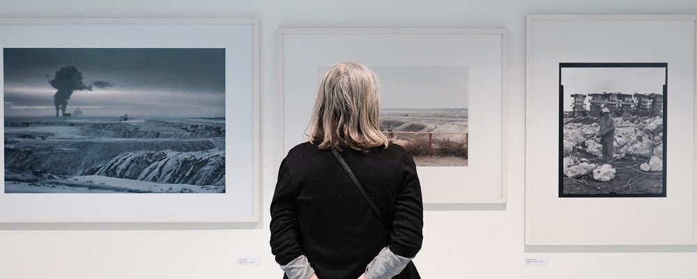 Eine Faru schaut sich 3 Fotografien von unterschiedlichen Landschaften an.