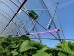 Crocus Labs schließt eine siebenstellige Seed-Investitionsrunde ab, um energieeffiziente Leuchten für den Gartenbau zu entwickeln