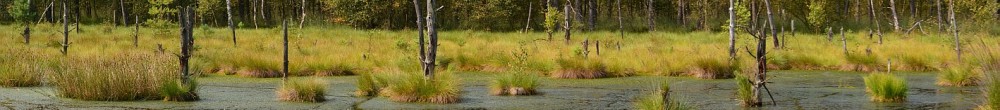 Vogelperspektive Seenlandschaft