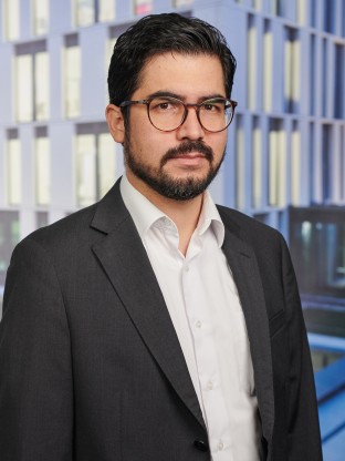 Portrait Pablo Sebastian Valenzuela Maraboli