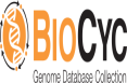 Logo Biocyc