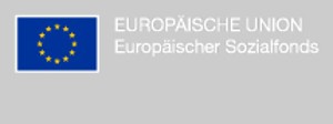 Link zum Europäischen Sozialfonds in Brandenburg